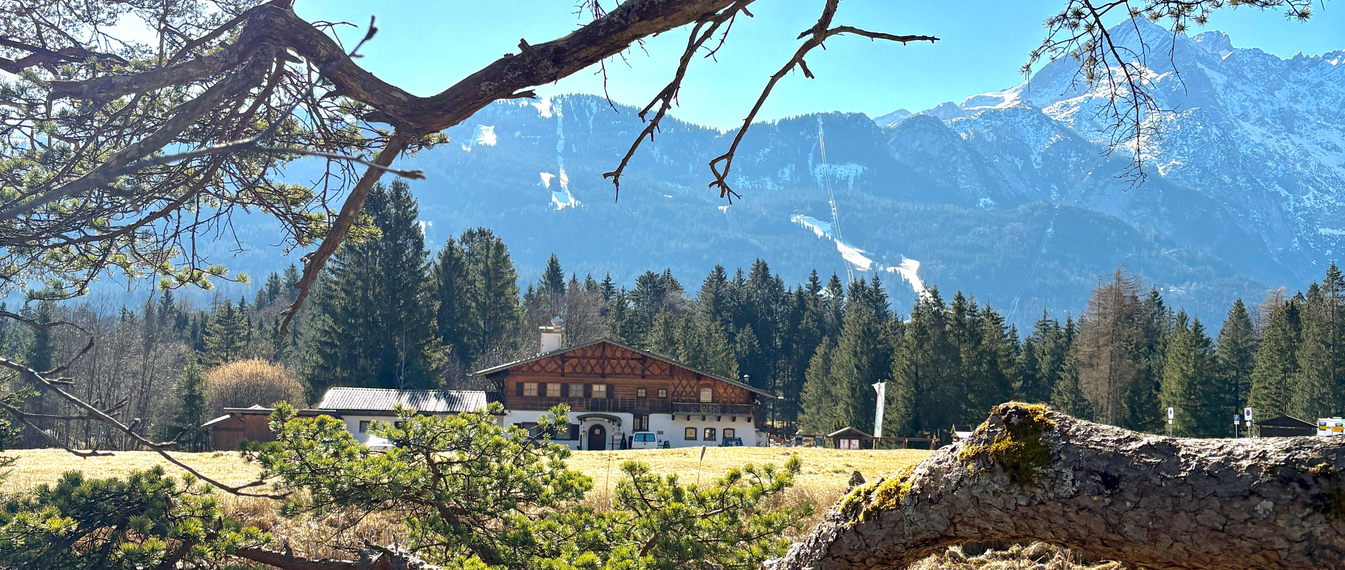 Panoramabild mit Elch's Almhütte